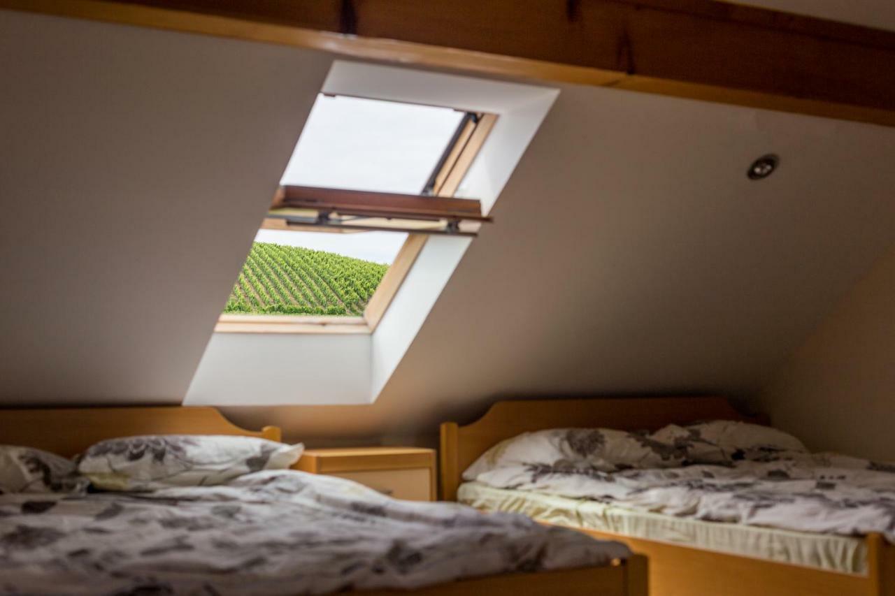 Apartment Velbana Gorca Virstanj Zewnętrze zdjęcie